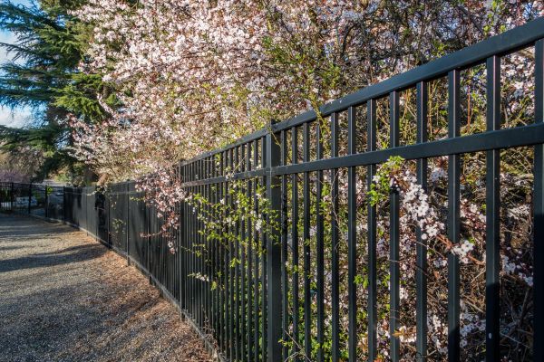 Black Metal Fence Installation in Summerville