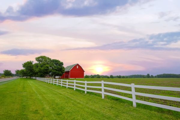 Farm Fencing Installation in Summerville