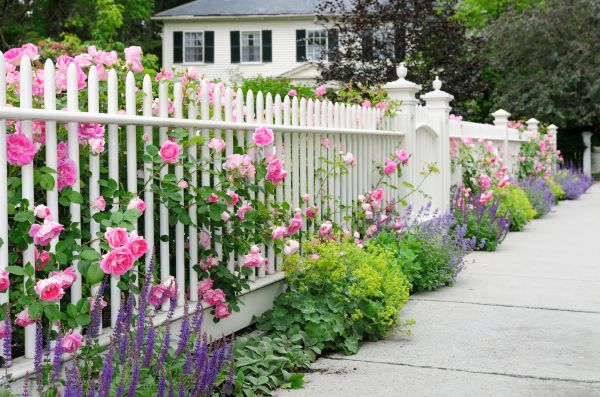 Fence Service in Summerville