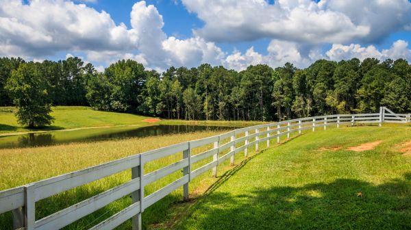 Pasture Fence Installation in Summerville