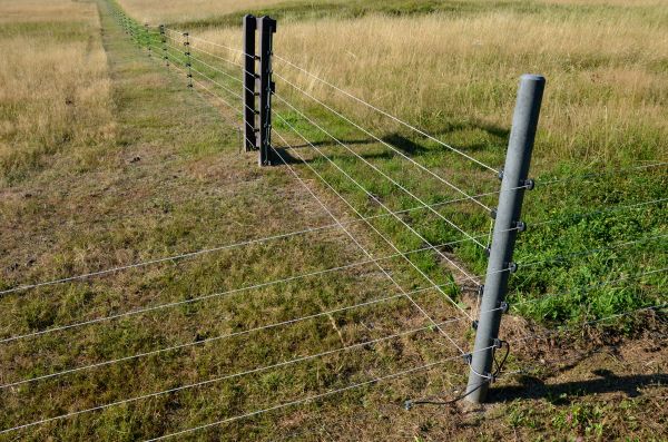 T Post Fence Installation in Summerville