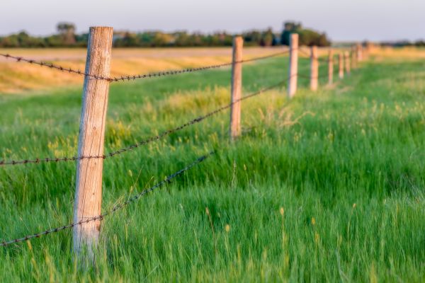 Field Fence Installation in Summerville