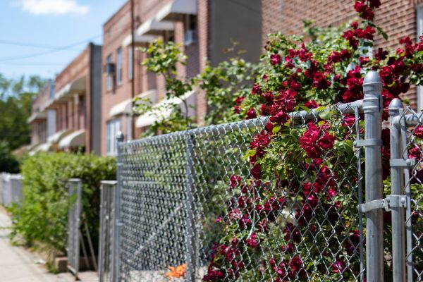 Chain Link Fence Replacement in Summerville