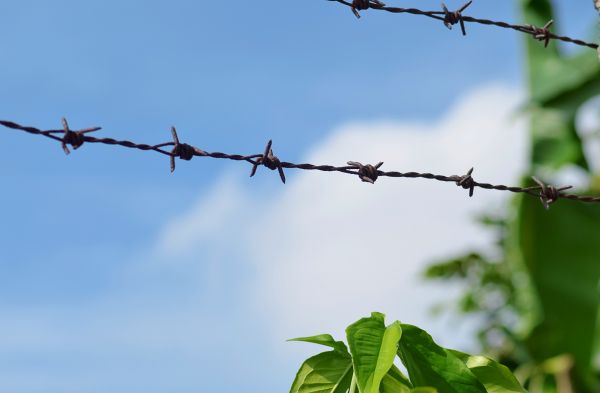 Garden Fencing Service in Summerville
