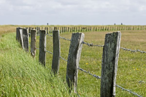 Rural Fencing Service