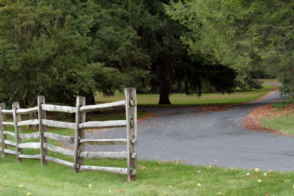 Split Rail Fence Installation in Summerville
