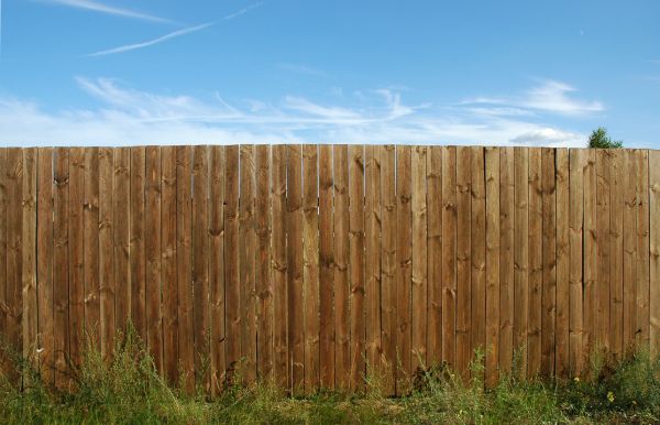 Pine Fence Installation in Summerville