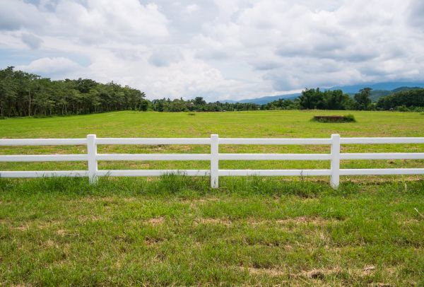Field Fence Repair in Summerville