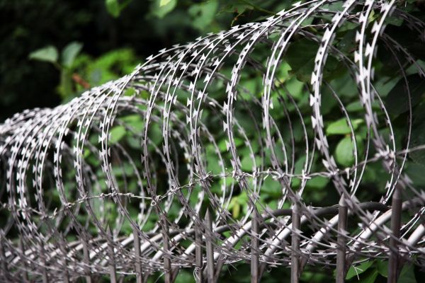 Fence Wire Assembly