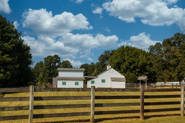 Wood Rail Fence Installation in Summerville