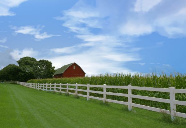 Rail Fence Construction in Summerville