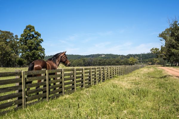Horse Enclosure Installation in Summerville