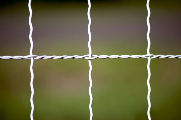 Woven Wire Fence Repair in Summerville