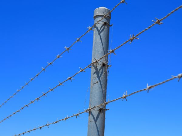 Wire Fence Replacement in Summerville