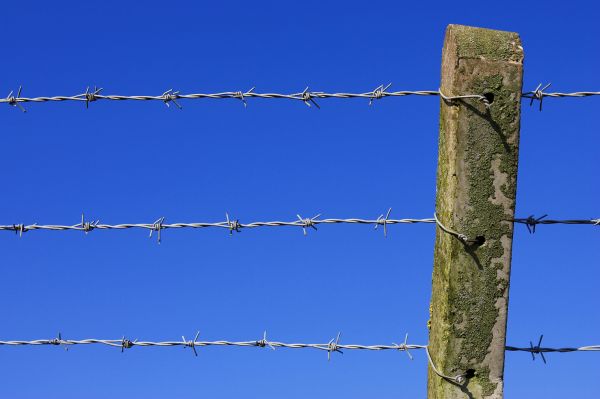 Barbed Wire Fence Replacement in Summerville