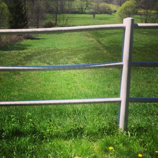 Cattle Fence Replacement in Summerville