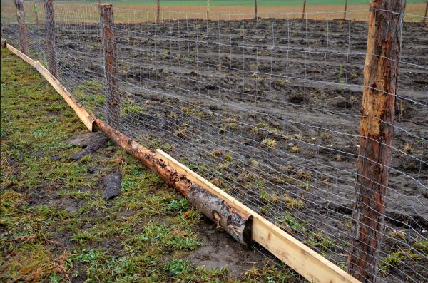 Deer Fencing Repair in Summerville