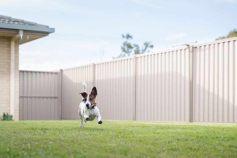 Electric Dog Fence Installation