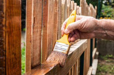 Professional Fence Painting